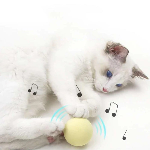 Gravity Ball Interactive Squeaky Toy for Indoor Cats