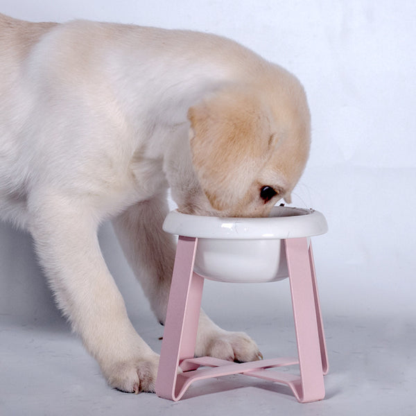 2 in 1 Cat Feeding Bowl with Stand Anti-Slip Food and Water Feeder
