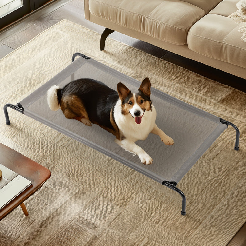 Elevated Dog Bed