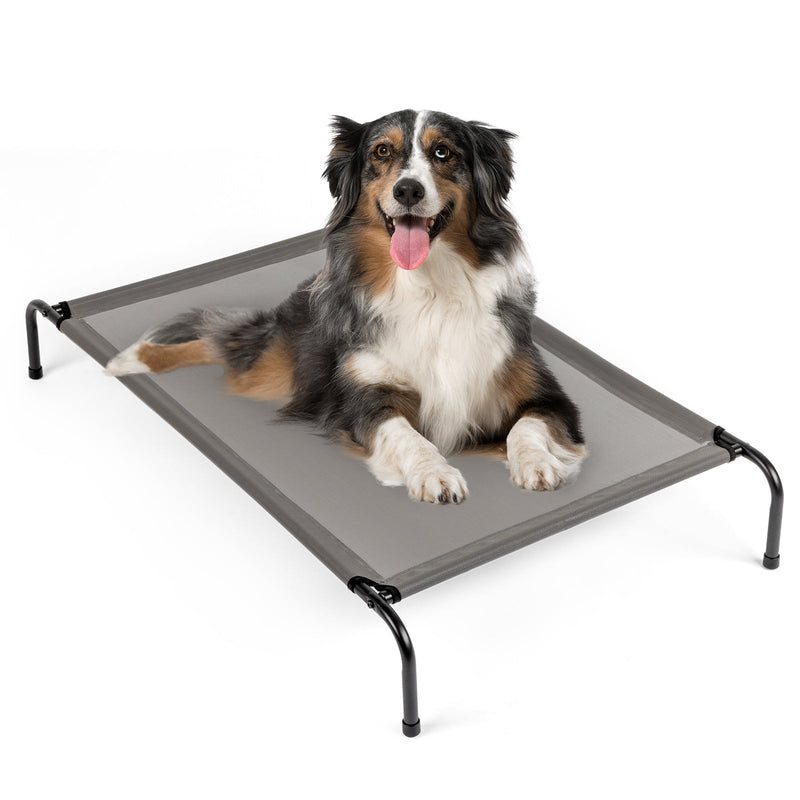Elevated Dog Bed