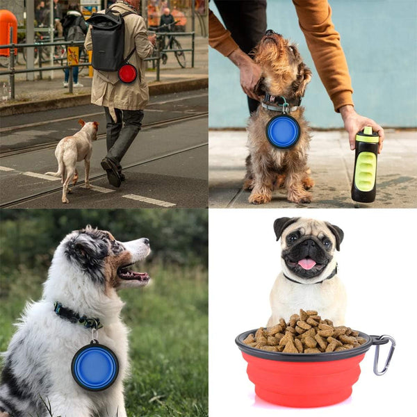 Collapsible Travel Dog Bowls