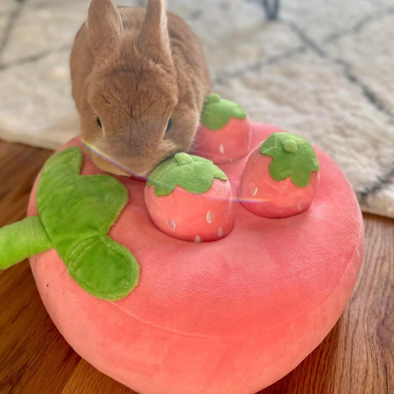 Interactive Cute Plush Strawberry Snuffle Mat For Dogs Bunnies, And Guinea Pigs  Feed Entertain And Stimulate