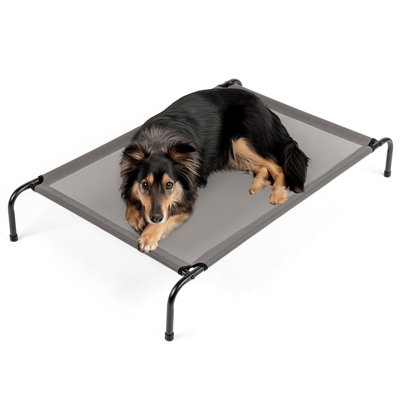 Elevated Dog Bed