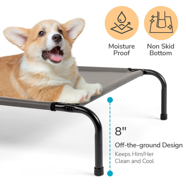 Elevated Dog Bed