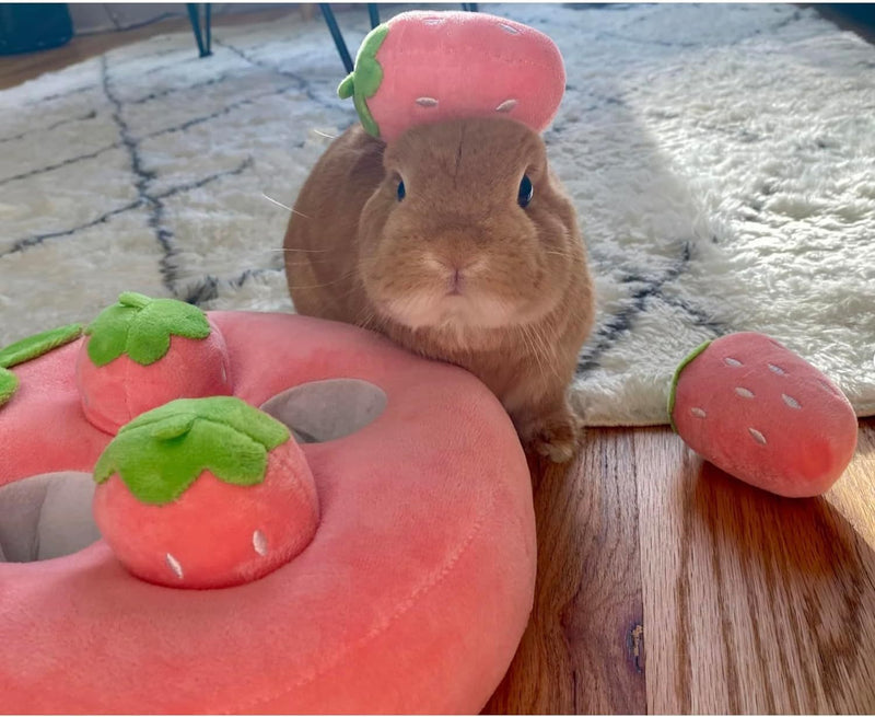 Interactive Cute Plush Strawberry Snuffle Mat For Dogs Bunnies, And Guinea Pigs  Feed Entertain And Stimulate
