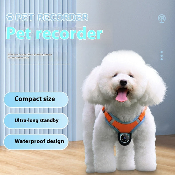 Pet Collar Camera with Motion Recorder for Dogs and Cats