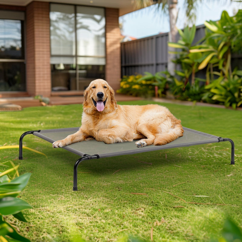 Elevated Dog Bed