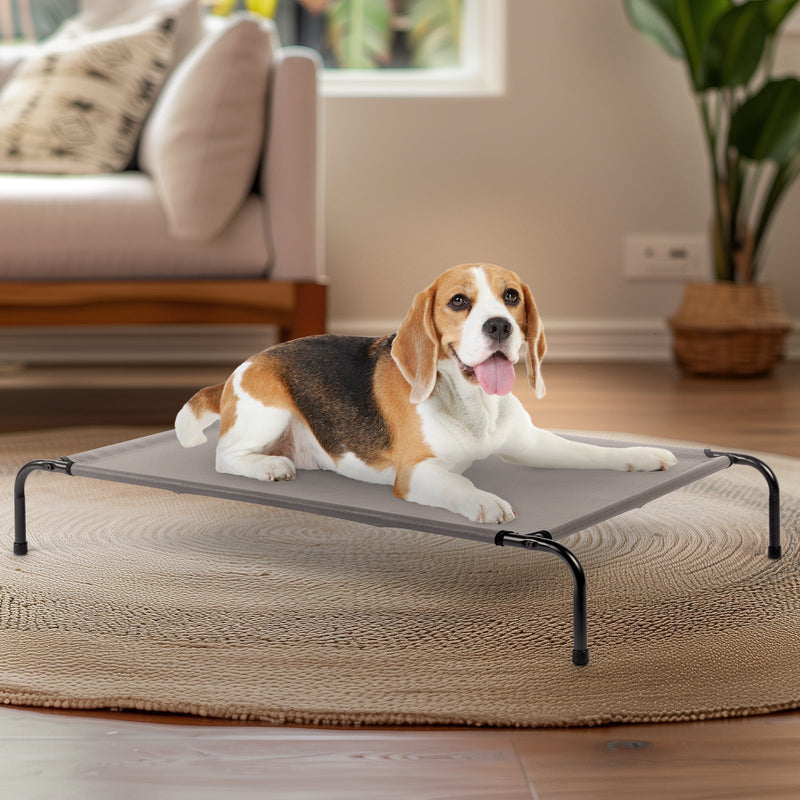 Elevated Dog Bed