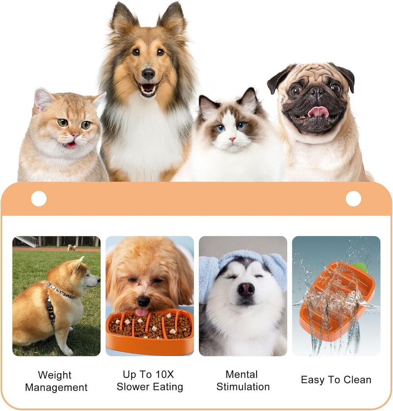 Carrot Design Non-Slip Slow Feeder Dog Bowl for Small and Medium Dogs