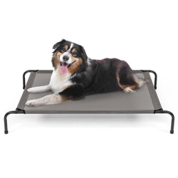 Elevated Dog Bed