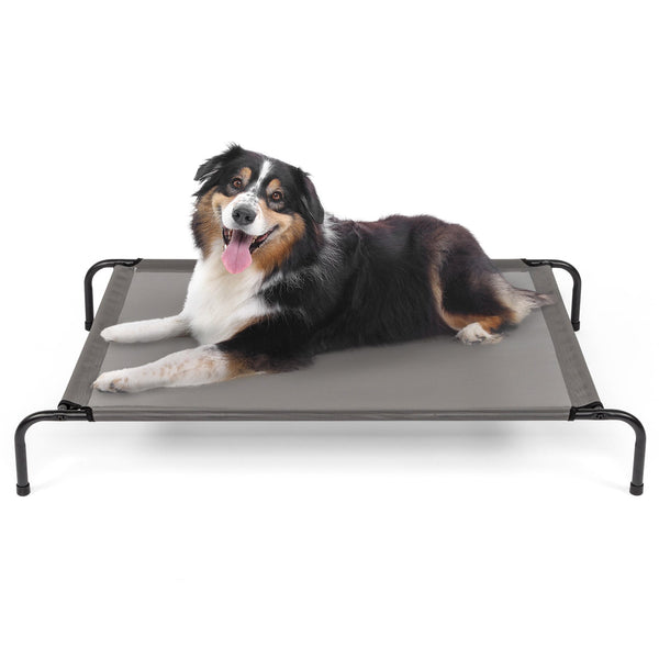 Elevated Dog Bed