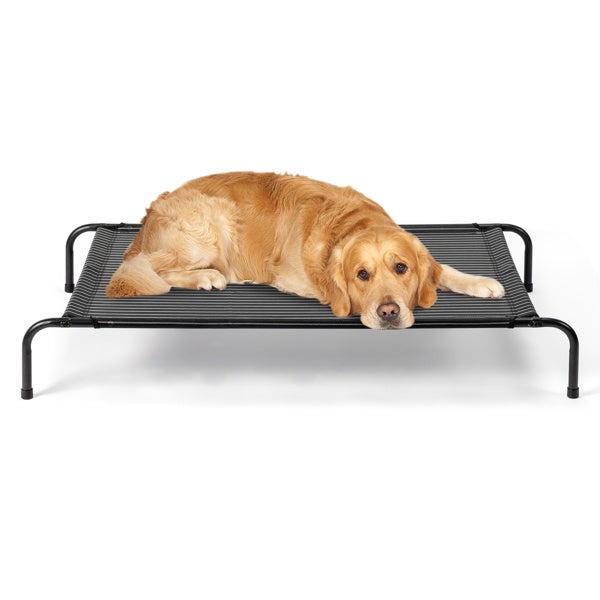 Pet Beds