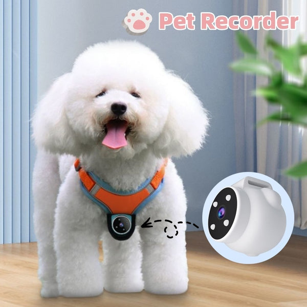Pet Collar Camera with Motion Recorder for Dogs and Cats