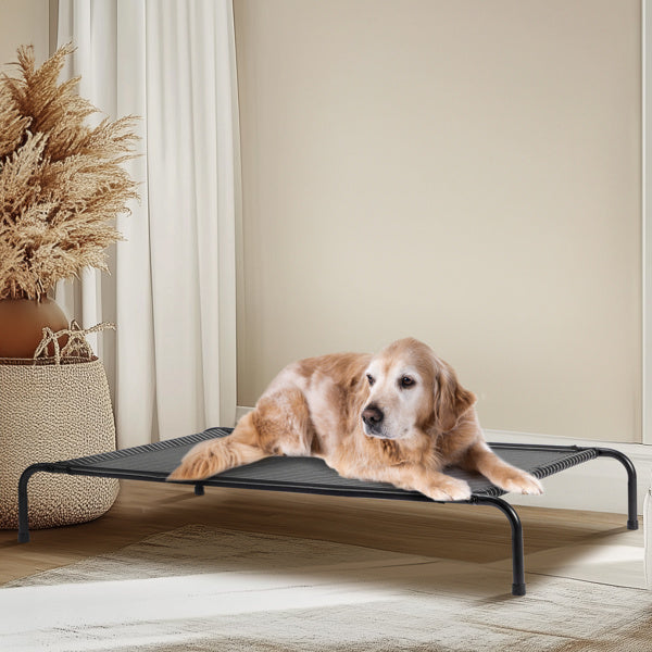 Pet Beds
